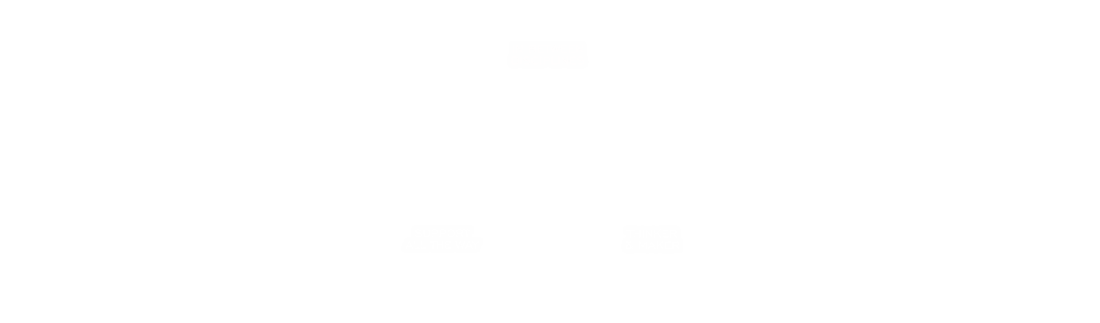 Monitor Electronics